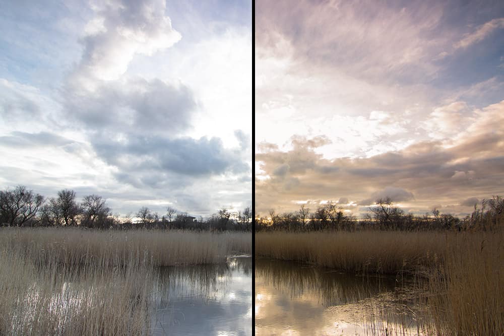 Tablas de Daimiel, Ciudad Real - comparación revelado