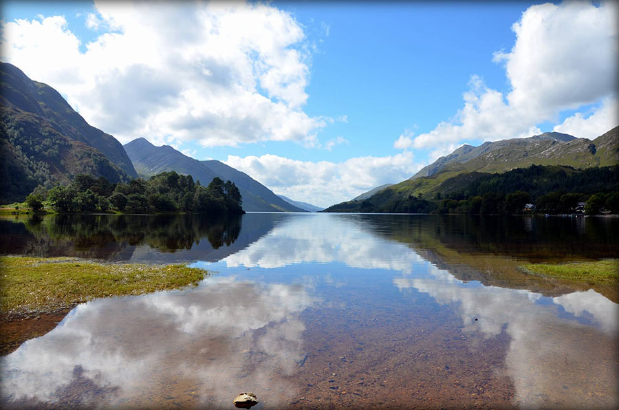 Delfina Molina Muñoz, Sin-título