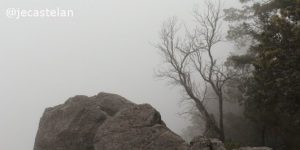 J. Enrique Castelan: Viejo amigo