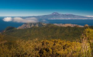 Jesús García López: Fuego, tierra, aire y agua