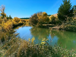 Milty Flinn, Canal de Castilla