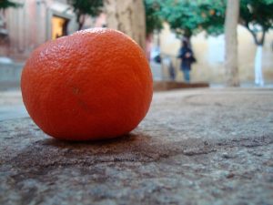 Diego Pacheco, Patio de los naranjos