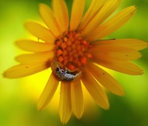 Jose Manuel Vazquez Varela, sin título
