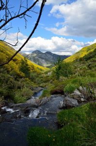 Pauli Lazo, Ruta Redipuertas