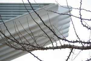 Foto reto 12, contrastes - Jarobev