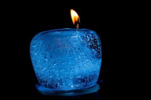 Foto reto 12, contrastes - Kanzi