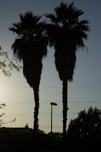 Fotografía reto 13: encontrar caritas, Juanma Valverde