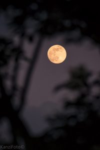 Fotografía reto 14: Enmarcado natural, E. Linares