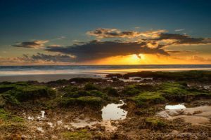 Reto 15, Ricardo Cecilia