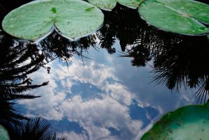 Reto 16: reflejos. Maribel Panadero