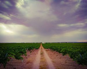 Reto 17, caminos. Antonio Francisco Panadero