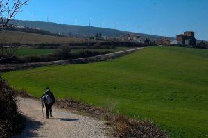 Reto 17, caminos. Daniel Remondegui