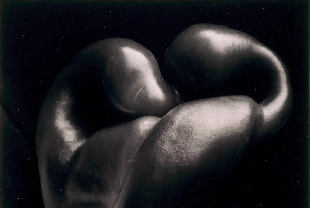 Edward Weston, pimiento nº 30 (recorte)
