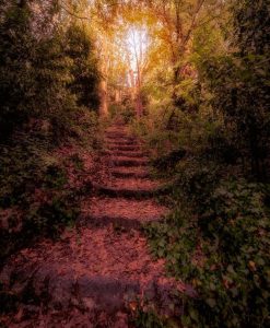 Reto 19: Otoño, José Luis García‎ - Sin título