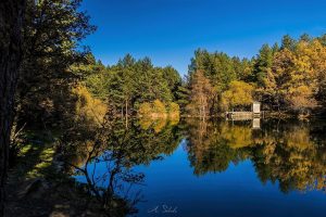 Reto 22: Agua. Arturo Salcedo