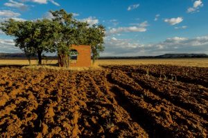 Ejercicio texto a imagen, Eva del Toro