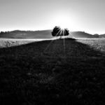 Reto 36: ByN - Anto Morales