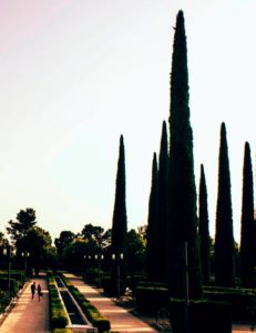 Reto 37: Líneas verticales - Emilio Bonilla