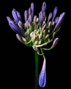 Reto 37: Líneas verticales - Fernando Cuadrado