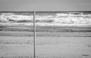 Reto 37: Líneas verticales - Juan B. Signes