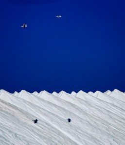 Reto 41: Duotono. Gamarra 1.0