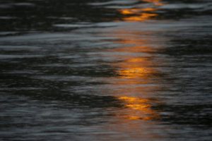 Reto 41: Duotono. Juan Alberto Vázquez