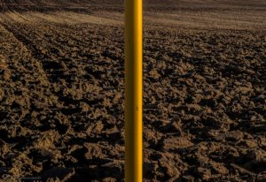 Reto 41: Duotono. Miguel Ángel Gómez