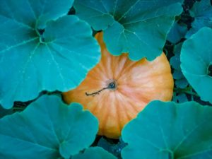 Reto 41: Duotono. Mikel Basabe