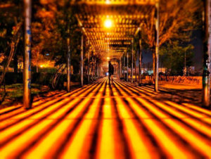 Reto 42: Sombras. @fernandolean