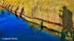 Reto 42: Sombras. Salvador Martin.