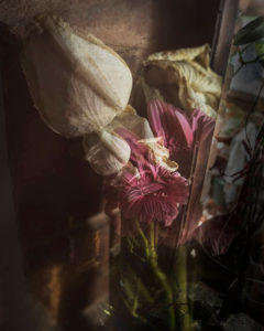 Reto 44: Flores, Gamaliel Cruz