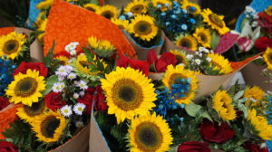 Reto 44: Flores, Jorge FG