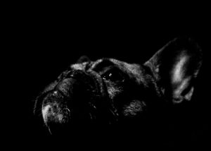 Reto #47: Clave baja - Diego Zagaglia