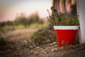 Reto 48: Color rojo - Ana Serrano