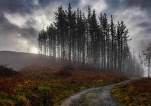 Reto #49: Día nublado - Oier Rebazal