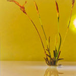 Reto #50: Color amarillo - Diego Zagaglia